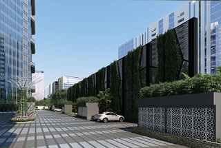 Visitor Parking